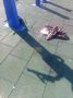 12-летняя школьница напала с ножом на ребят на детской площадке в Новосибирске