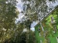 Утро сегодня серое и пасмурное, но ближе к обеду покажется солнце и уже не спрячется до заката — есть все шансы приятно прогуляться