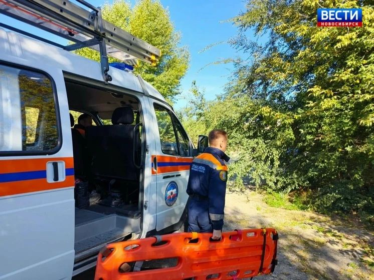 Сломала ногу в лесу. Под Новосибирском в районе Верх-Тулинского сельсовета случилась беда: 68-летняя женщина во время прогулки по лесу упала и сломала ногу