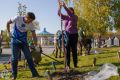20 мелколистных лип высадили на Михайловской набережной