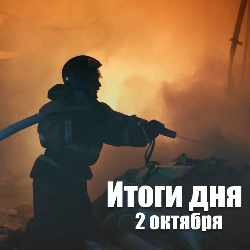 За сутки в Новосибирской области: