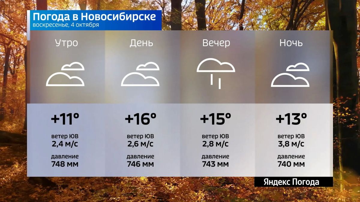 Прогноз погоды на 4 октября 2026 года в Новосибирской области