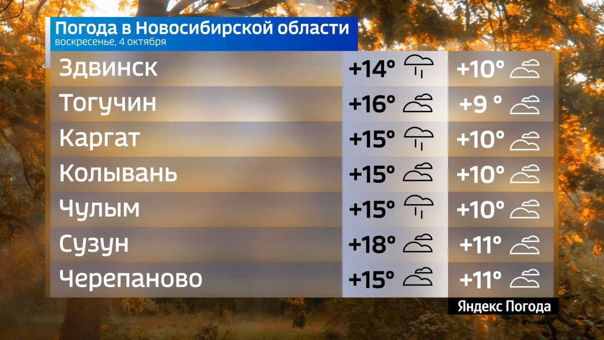 Прогноз погоды на 4 октября 2026 года в Новосибирской области Прогноз погоды на 4 октября 2026 года в Новосибирской области