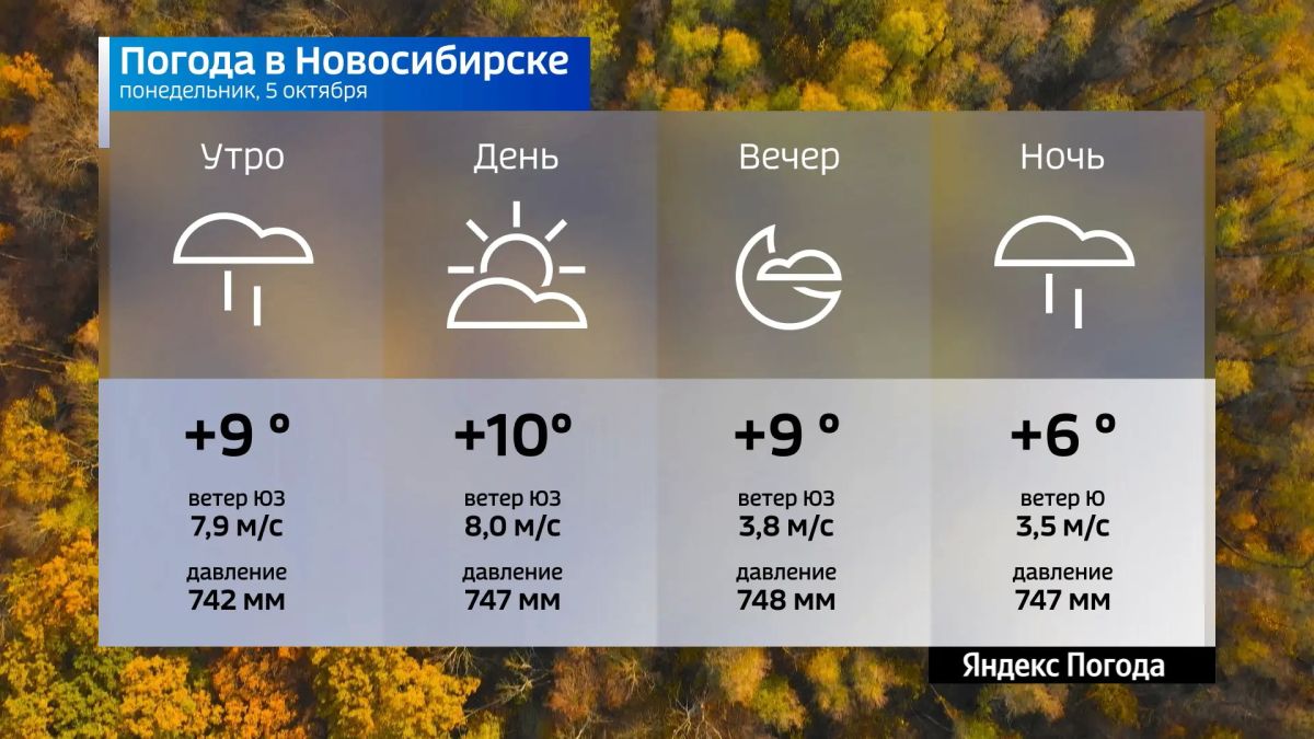 Прогноз погоды на 5 октября 2026 года в Новосибирской области