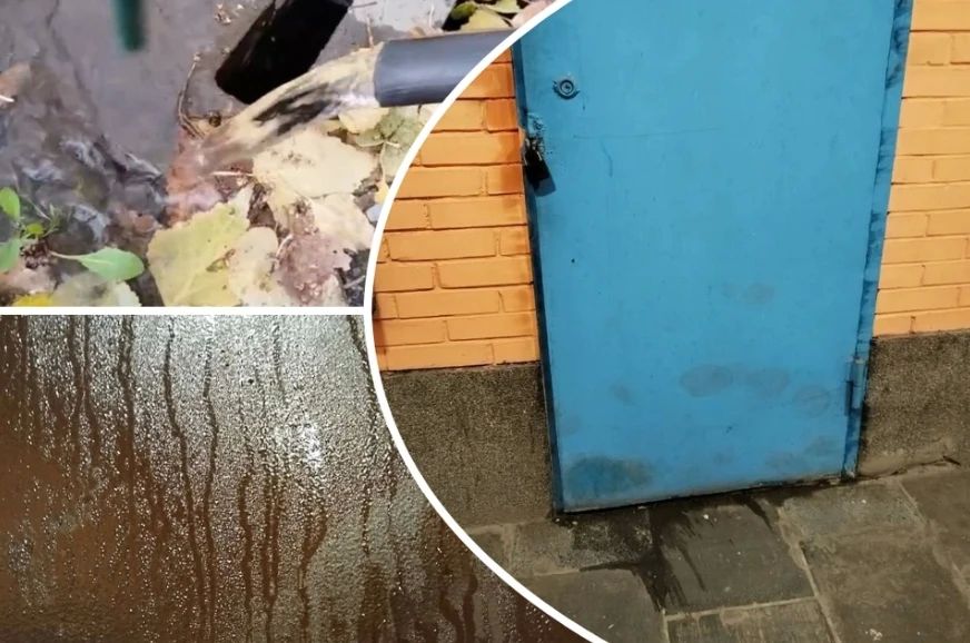 «В подъезде — парилка, пахнет плесенью»: в Новосибирске подвал многоэтажки затопило горячей водой