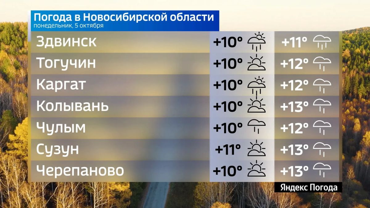 Прогноз погоды на 5 октября 2026 года в Новосибирской области Прогноз погоды на 5 октября 2026 года в Новосибирской области