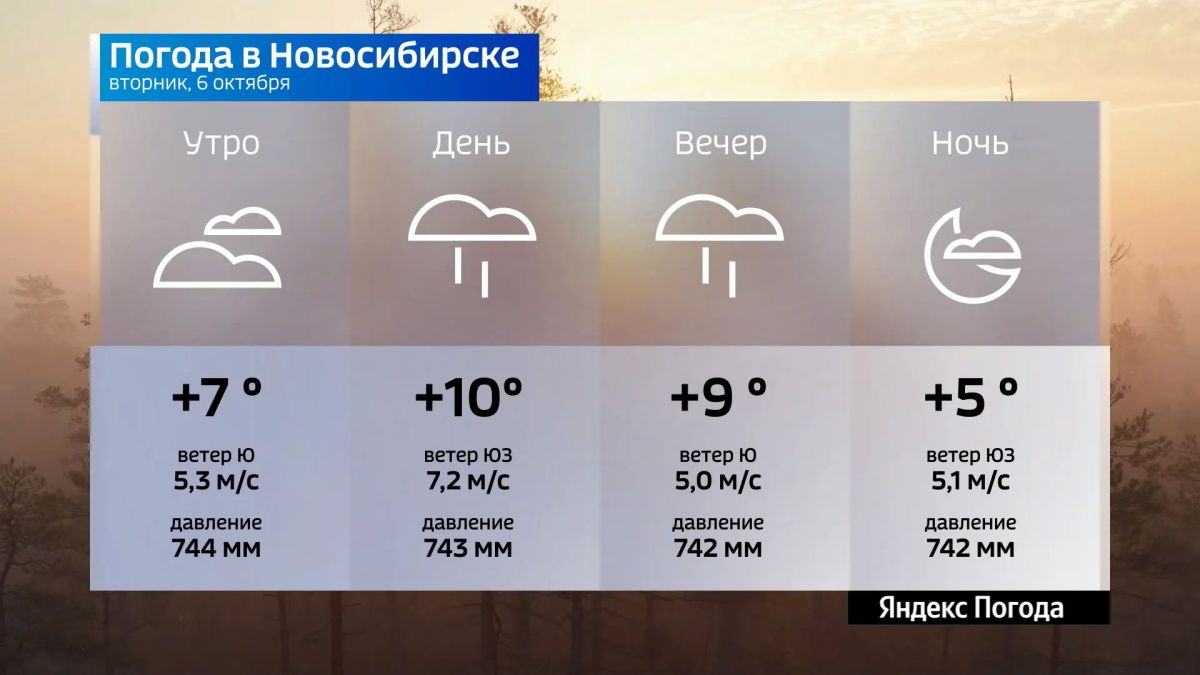 Прогноз погоды на 6 октября 2026 года в Новосибирской области