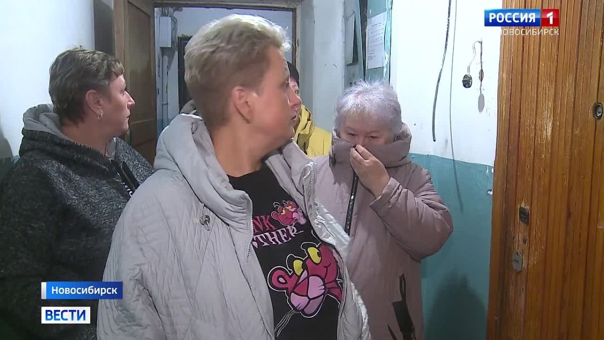 Тараканы вперемешку с кошками