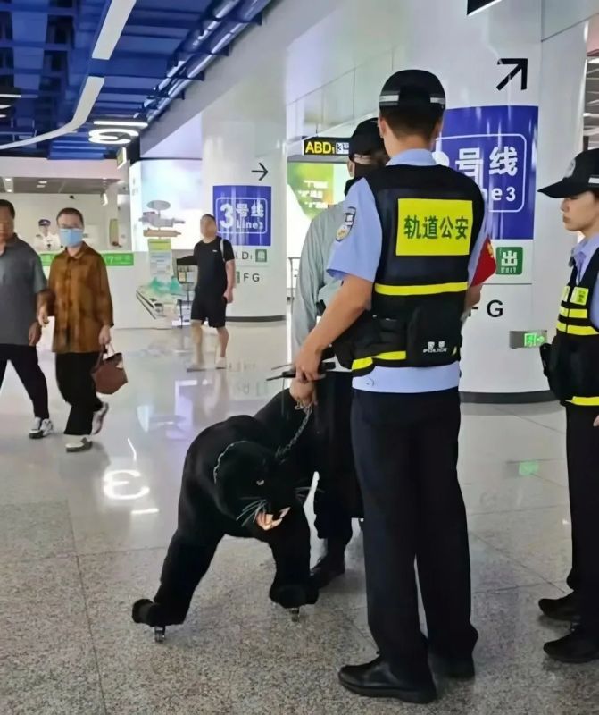Чемодан, который точно не потеряется в багаже! Чемодан, который точно не потеряется в багаже!