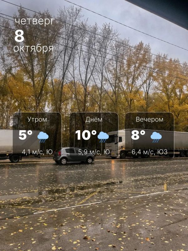 Дождливый и пасмурный день