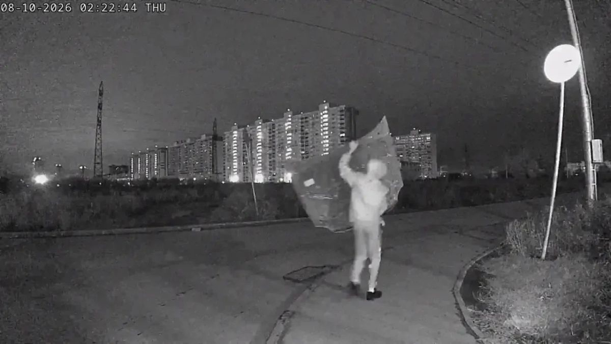 В Новосибирске неизвестные устроили дерзкий «разбор» иномарки