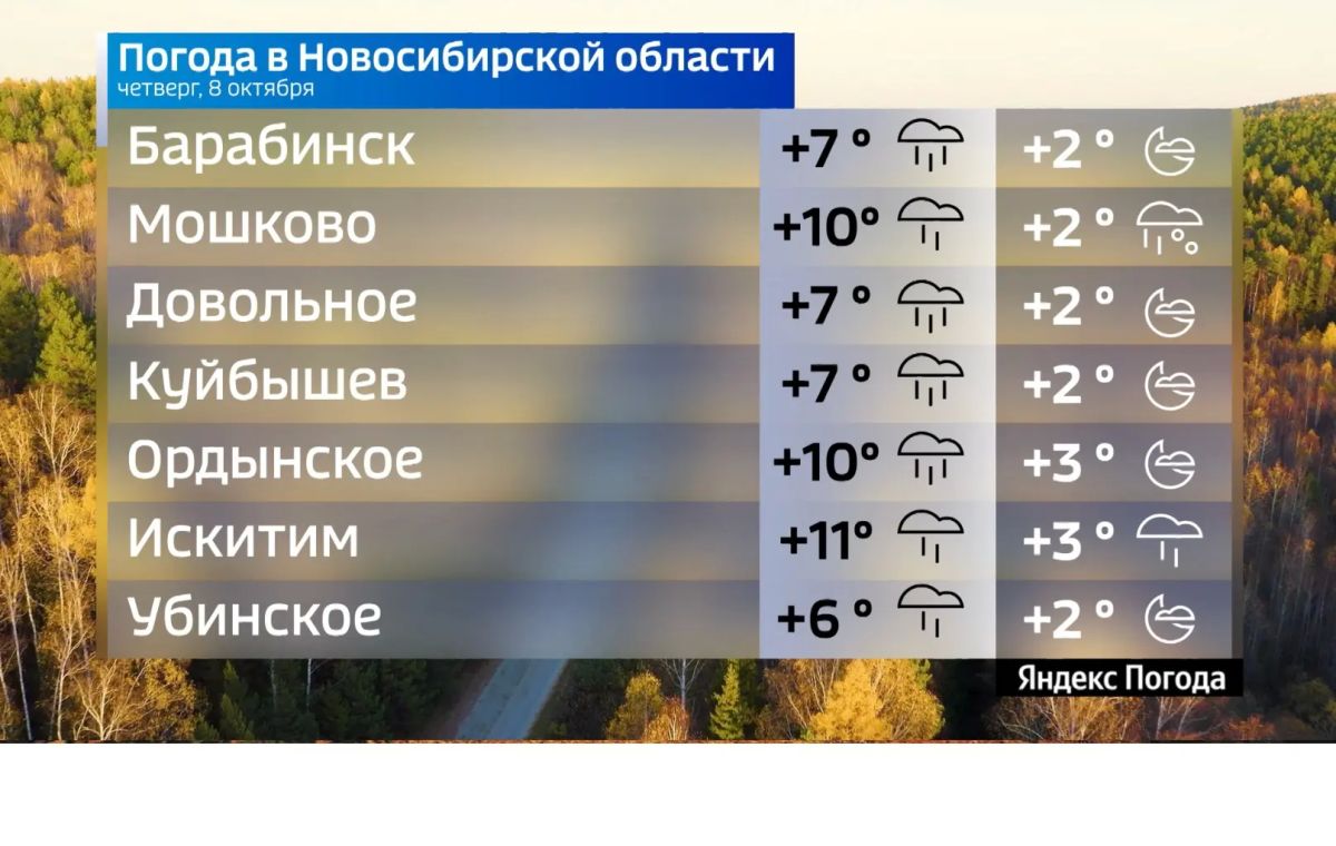 Прогноз погоды на 8 октября 2026 года в Новосибирской области Прогноз погоды на 8 октября 2026 года в Новосибирской области