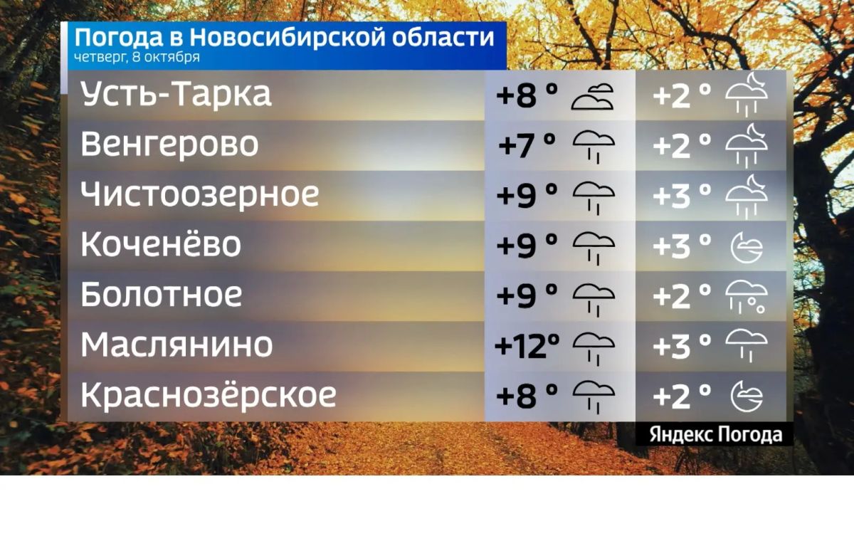 Прогноз погоды на 8 октября 2026 года в Новосибирской области Прогноз погоды на 8 октября 2026 года в Новосибирской области