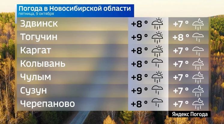 Прогноз погоды на 9 октября 2026 года в Новосибирской области Прогноз погоды на 9 октября 2026 года в Новосибирской области