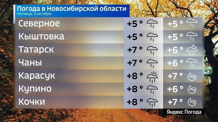 Прогноз погоды на 9 октября 2026 года в Новосибирской области Прогноз погоды на 9 октября 2026 года в Новосибирской области