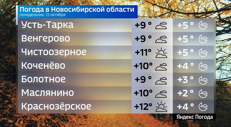 Прогноз погоды на 12 октября 2026 года в Новосибирской области Прогноз погоды на 12 октября 2026 года в Новосибирской области