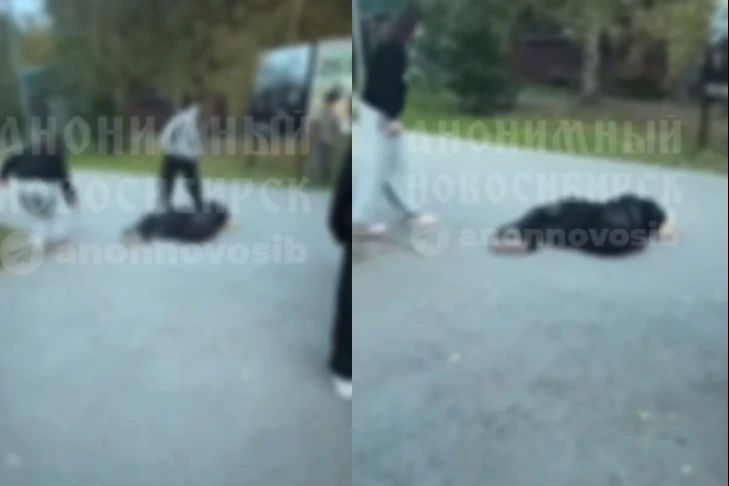 Бастрыкин проверит избиение новосибирской школьницы на Грибоедовском бульваре