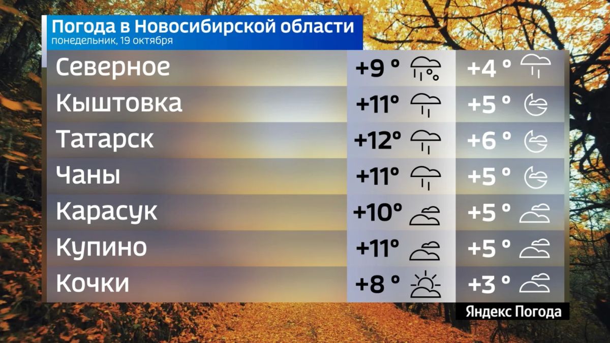 Прогноз погоды на 19 октября 2026 года в Новосибирской области Прогноз погоды на 19 октября 2026 года в Новосибирской области