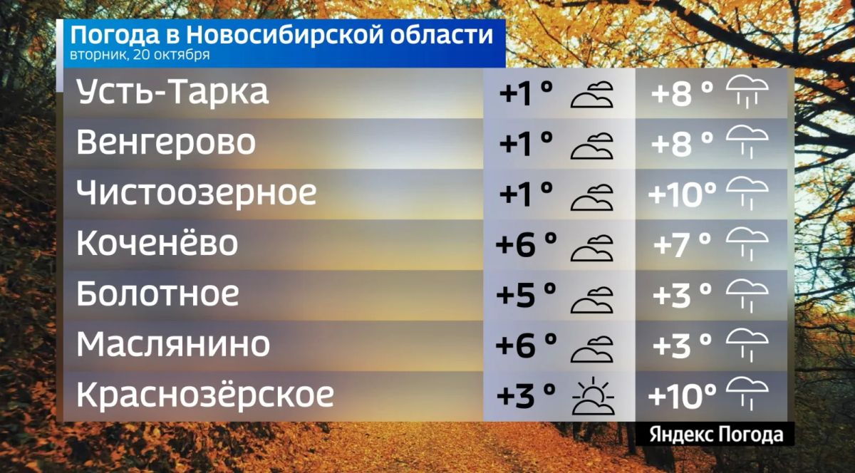 Прогноз погоды на 20 октября 2026 года в Новосибирской области Прогноз погоды на 20 октября 2026 года в Новосибирской области