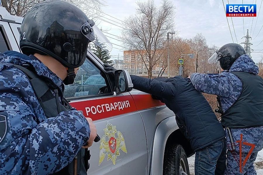 В Новосибирске задержали мужчину, избившего жену при ребёнке