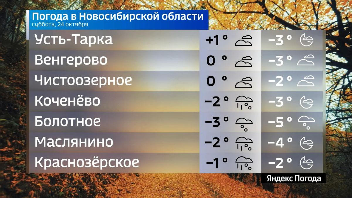 Прогноз погоды на 24 октября 2026 года в Новосибирской области Прогноз погоды на 24 октября 2026 года в Новосибирской области