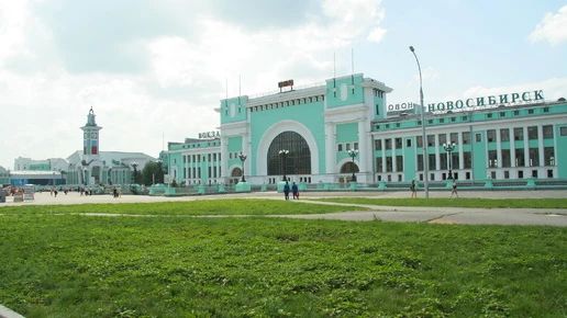 Две шиншиллы получили выездные документы из Новосибирска в Грузию