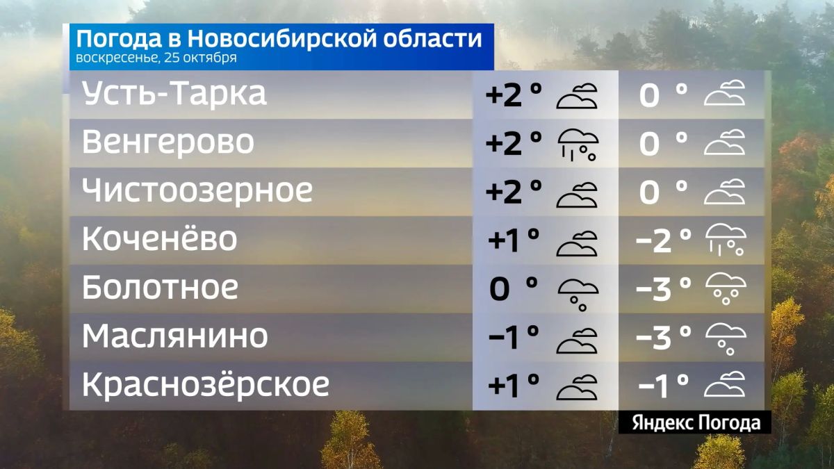 Прогноз погоды на 25 октября 2026 года в Новосибирской области Прогноз погоды на 25 октября 2026 года в Новосибирской области