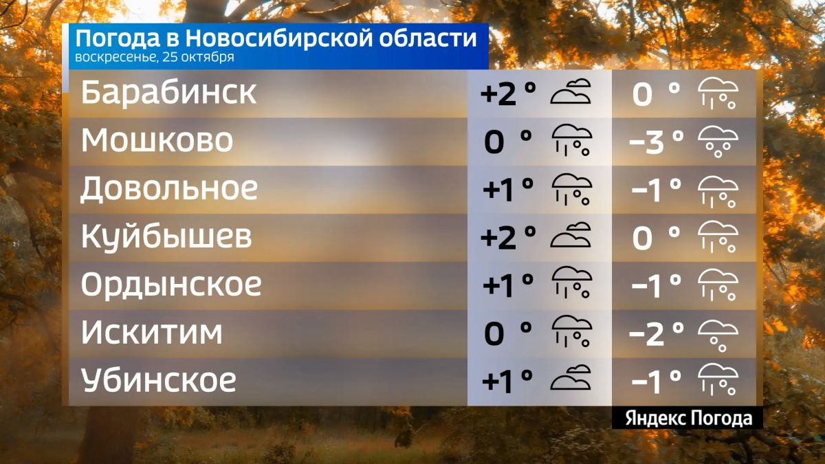 Прогноз погоды на 25 октября 2026 года в Новосибирской области Прогноз погоды на 25 октября 2026 года в Новосибирской области