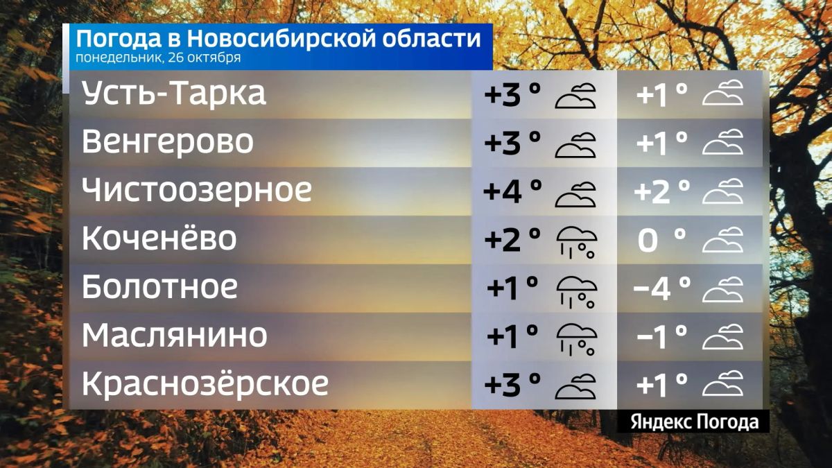Прогноз погоды на 26 октября 2026 года в Новосибирской области Прогноз погоды на 26 октября 2026 года в Новосибирской области