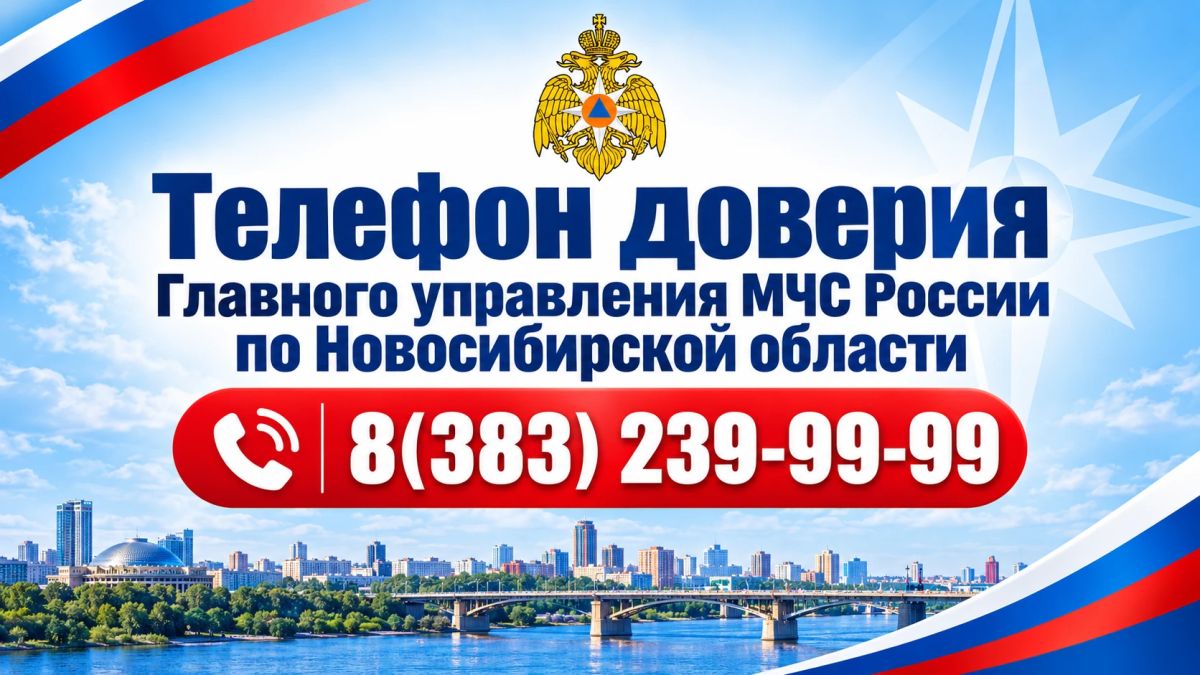 В Новосибирской области круглосуточно работает телефон доверия