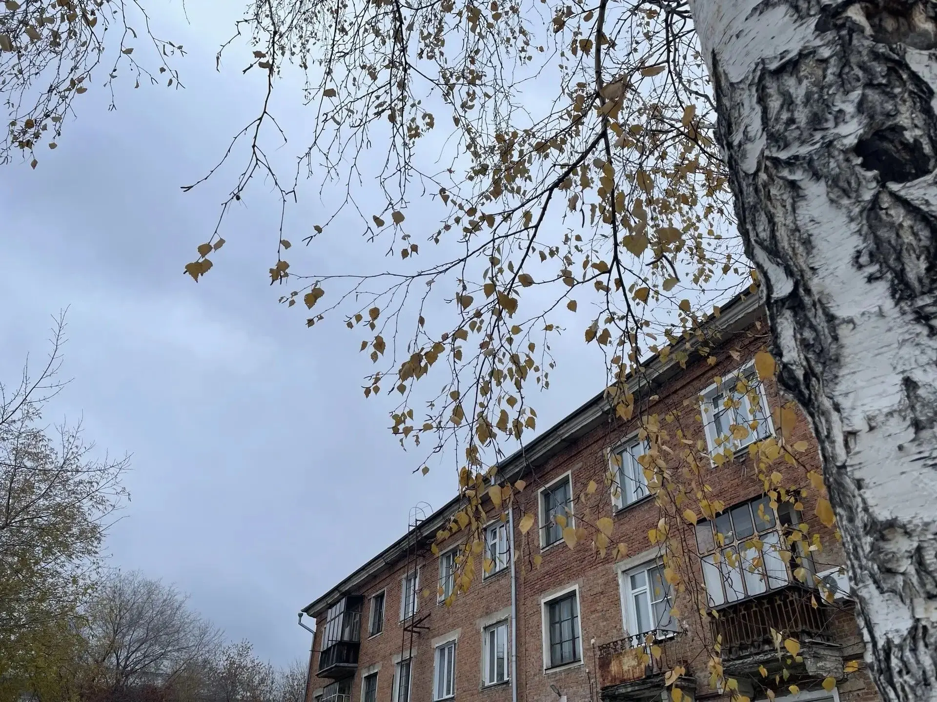 Рабочую неделю завершаем ещё одним дождливым днём