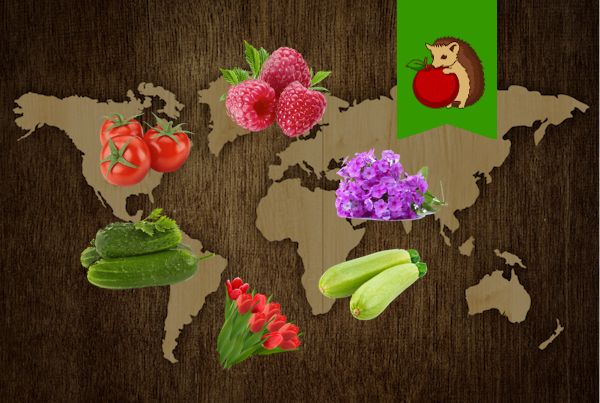 На пути к урожаю: Откройте для себя родину известных овощей и цветов