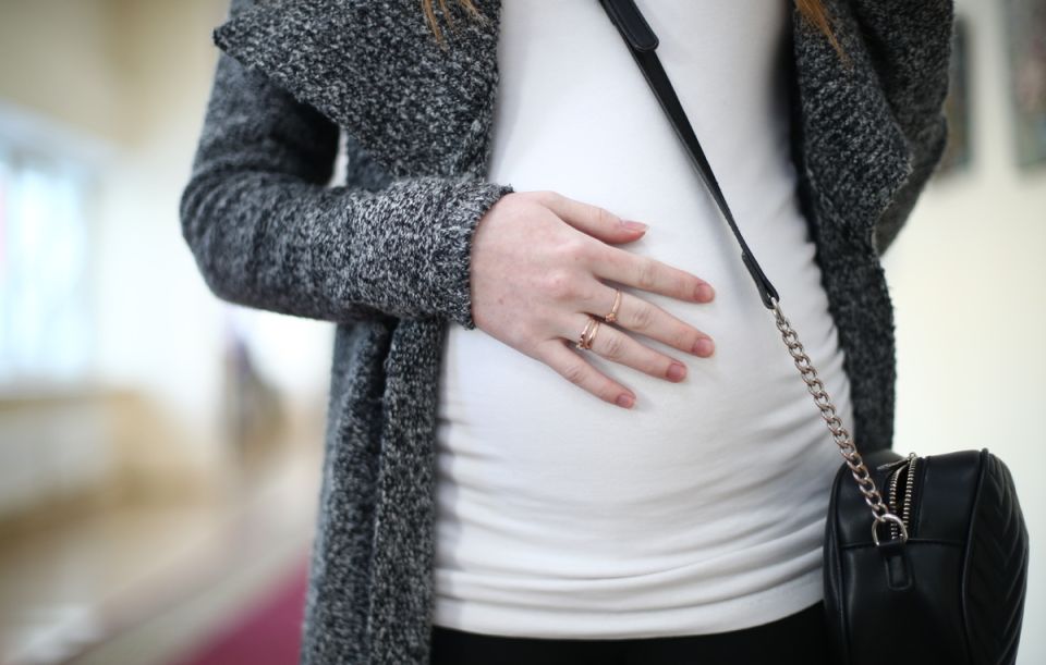 ����� ��������� ��������� �����������