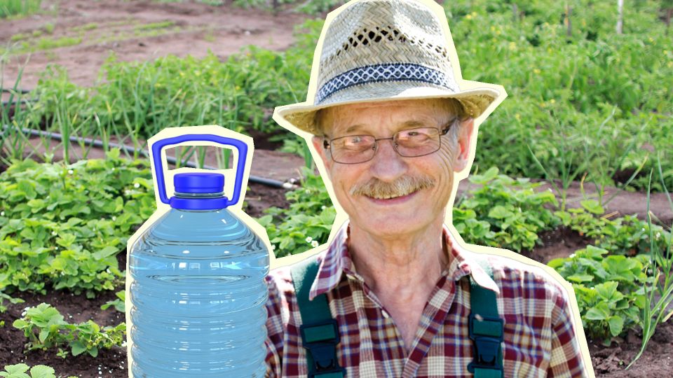 Хитрые дачники копят пластиковые пятилитровки все лето: используют не для полива
