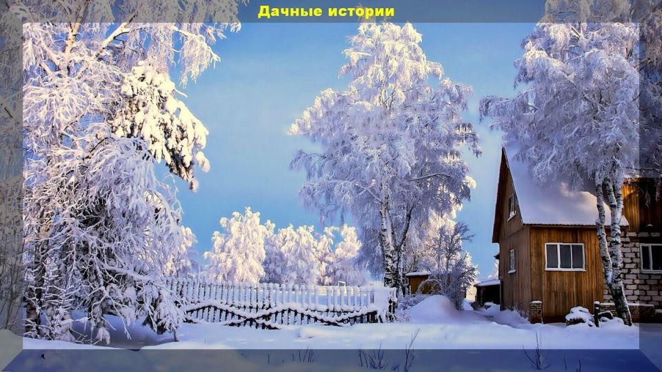 Секреты осеннего ухода за растениями: что нужно знать дачникам в 2025 году