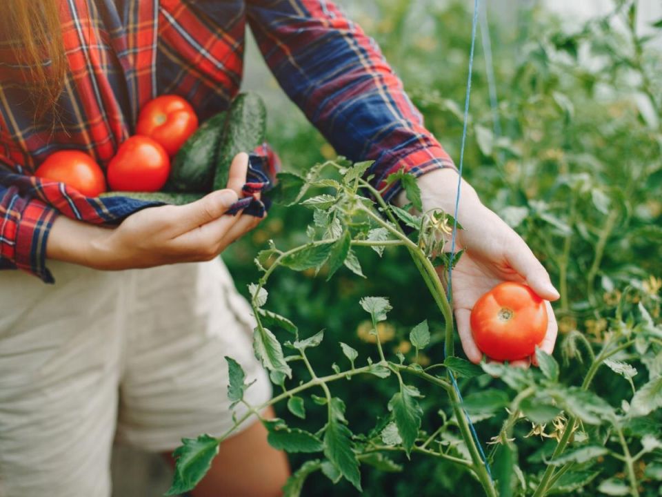 ������, ������� �������� ��� ������ �������: 13 ���������� ������ ��� ��������� ������