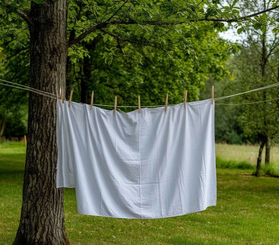 ��� ������� ���: ������� ������� ����������� ����� �� ����������