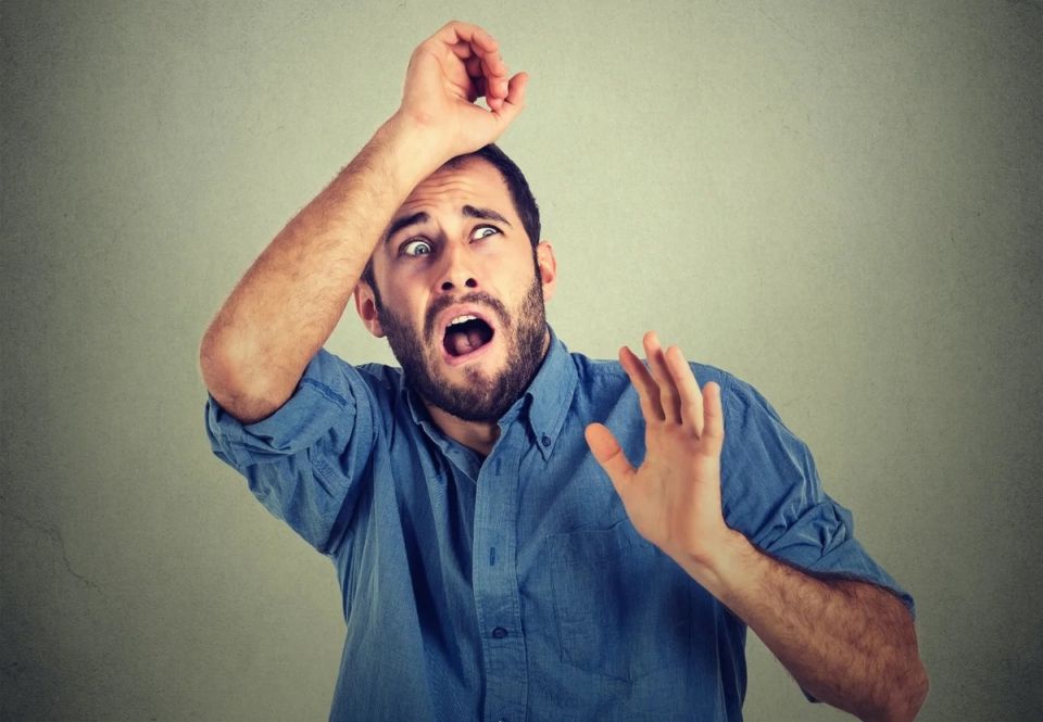 ��������� �������� �� ��������: ������, ������� ����� ������ ����� � �����