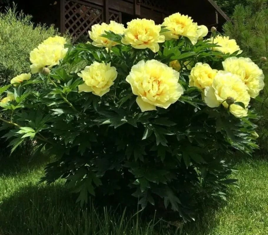 ����� � ��� ���������� ����� ������