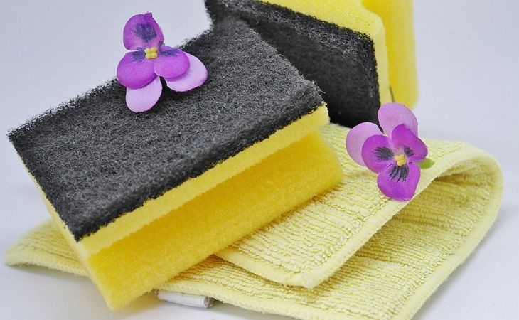 �������� �����, ������� ������� �������� � ������ ������: ��� ���� ���� � �������