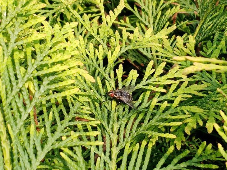 ���� � ������ �����! 5 ����, ������� ������� ��� �� ���������