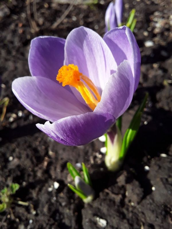 ������ ��������� ������� �������� �������� ������������� � ��������