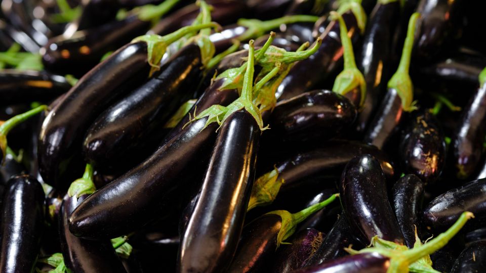 ��������� ����� �� ���������� ��������� �� 10 �����: ������� ��������� ���������