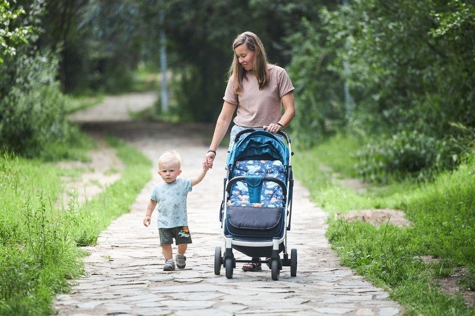 ������ ������: ����� ����������� ��� ��������� ������ � 2026 ����