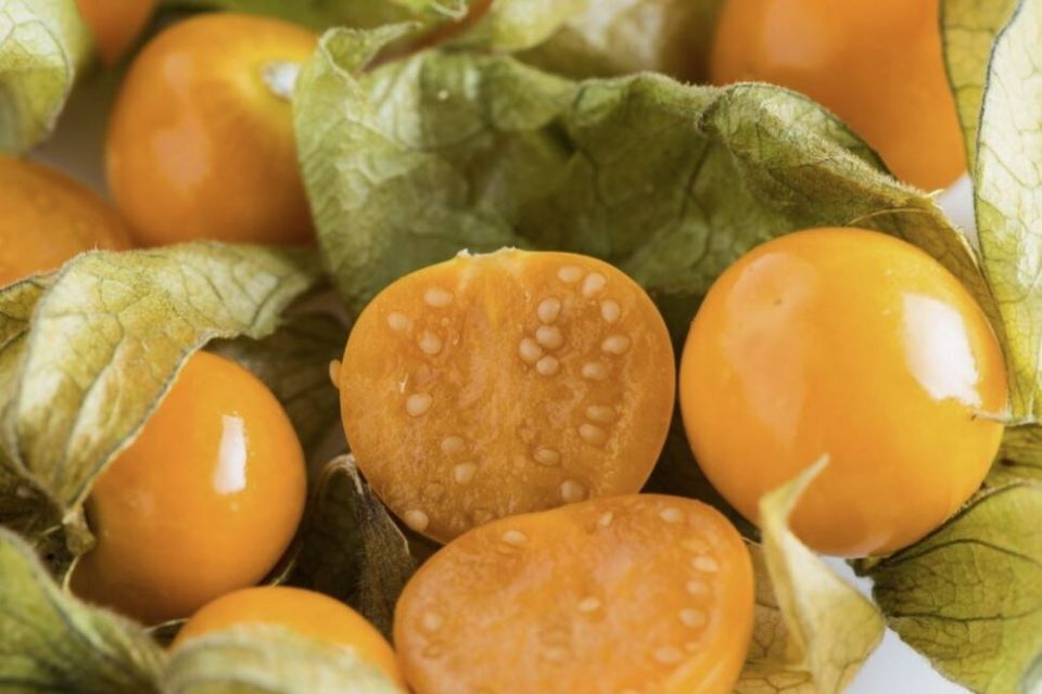 ��� ��������� ����������� �������: ������� ����� �������� ����������