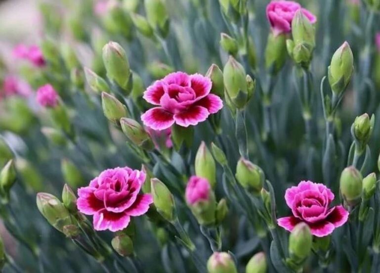 �������� ��� ������: �������� ��������� ����� ��� ������ ����