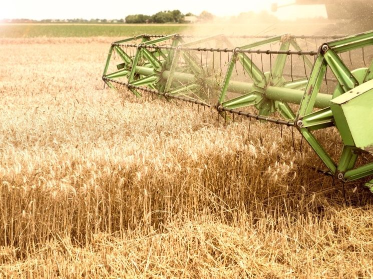 ������ ������� � 2026 ����: �������� ������������ ��������