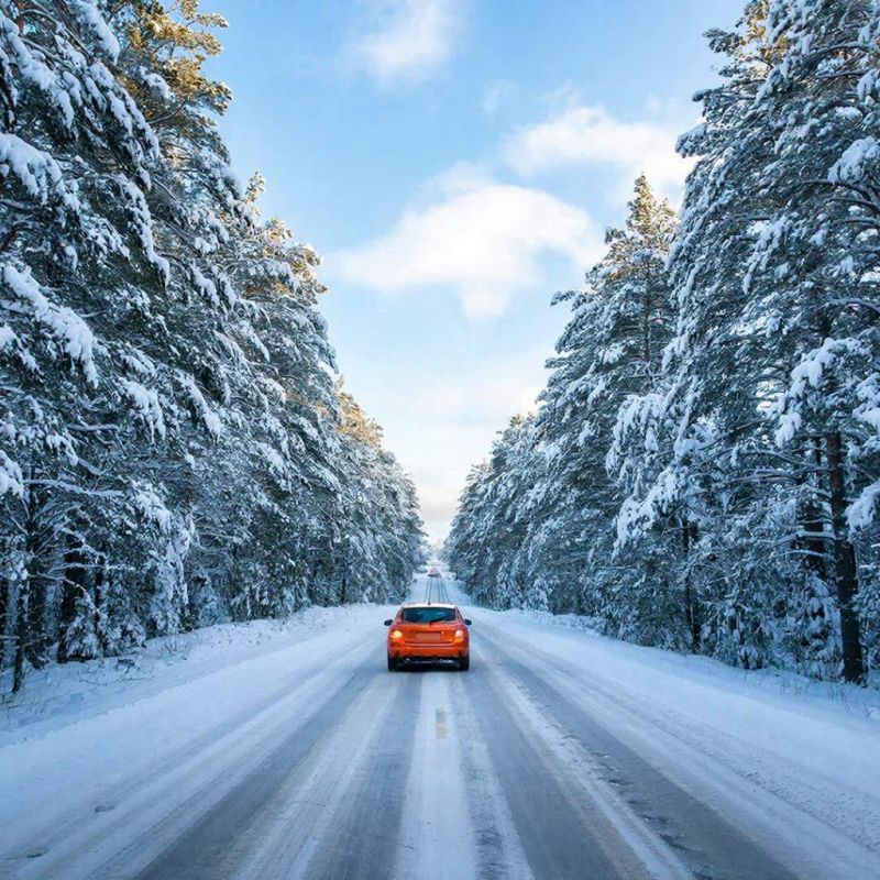 ������ ���������� ���������� ���� ����������������� ���������� �� ����� 2026 ����