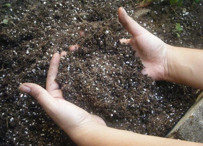 ��������� ����� ��� �������: ������� ������������ �������� ���������