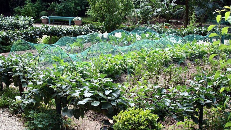 ��� ��������� ������ ��������: �������� ������ � �� �������